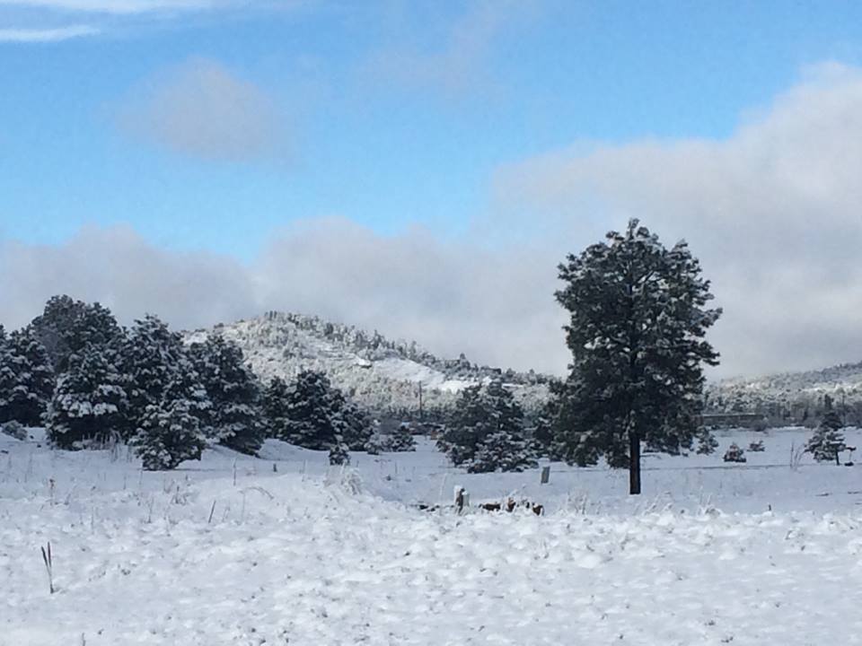 17457454_10212782531503706_1058172647322867278_n