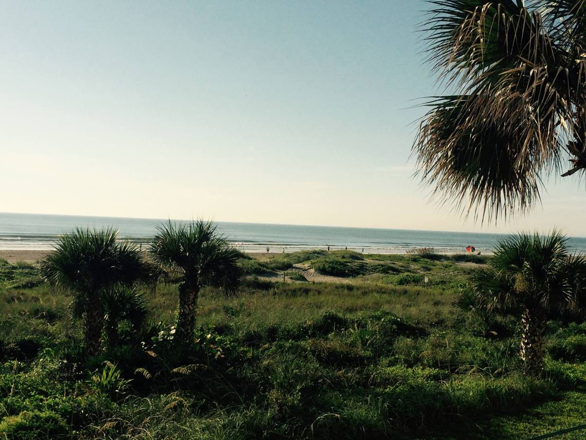 20776698_10214349265751083_5004868089400053502_o