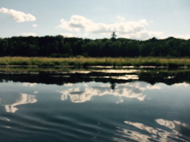 FullSizeRender[1] (3)