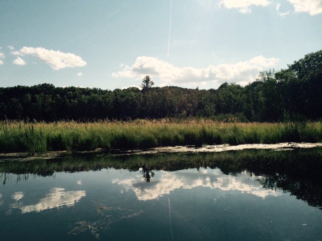 FullSizeRender[2] (3)