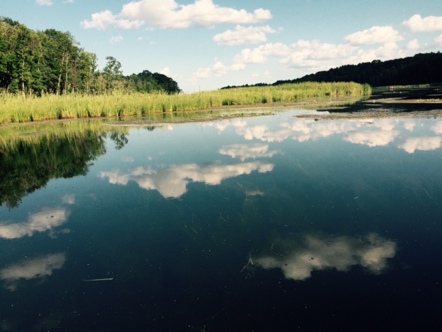 FullSizeRender[3] (4)