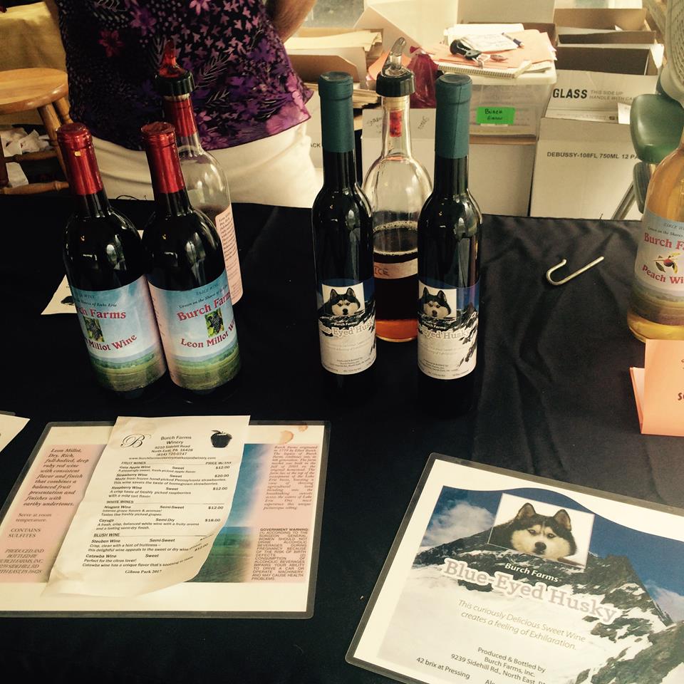 21762137_10214703936017618_6942438098705880427_n