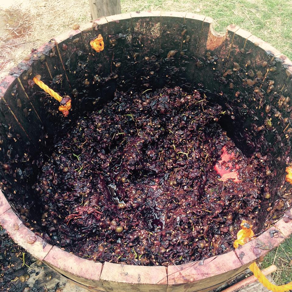 21762239_10214703990458979_1032048650123360828_n