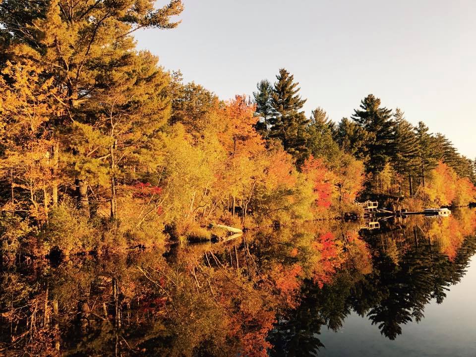 22365474_10214867651750409_792263101077290369_n