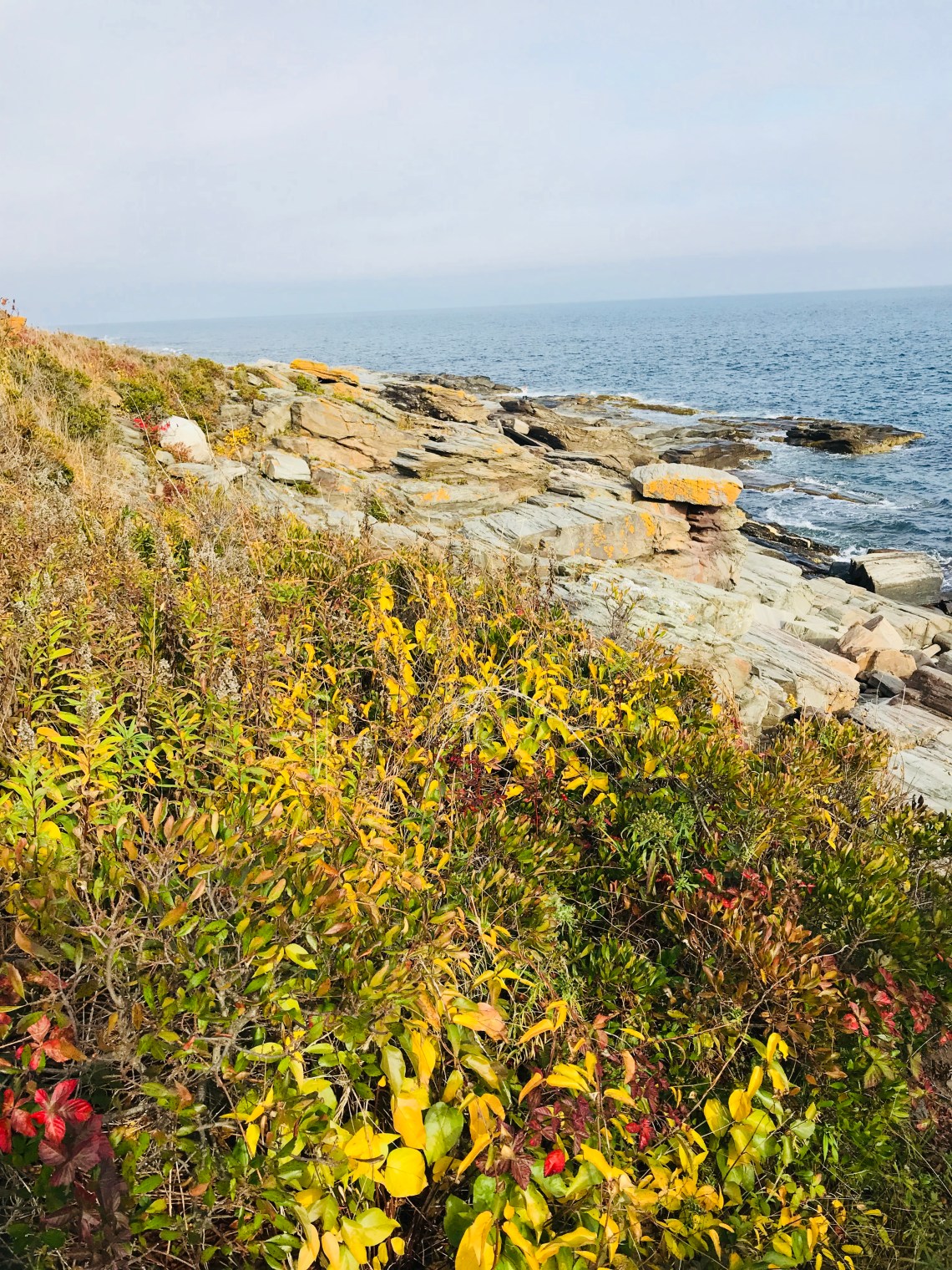 943719DA-EB2E-4C2C-B58B-B23D6FA70D5F