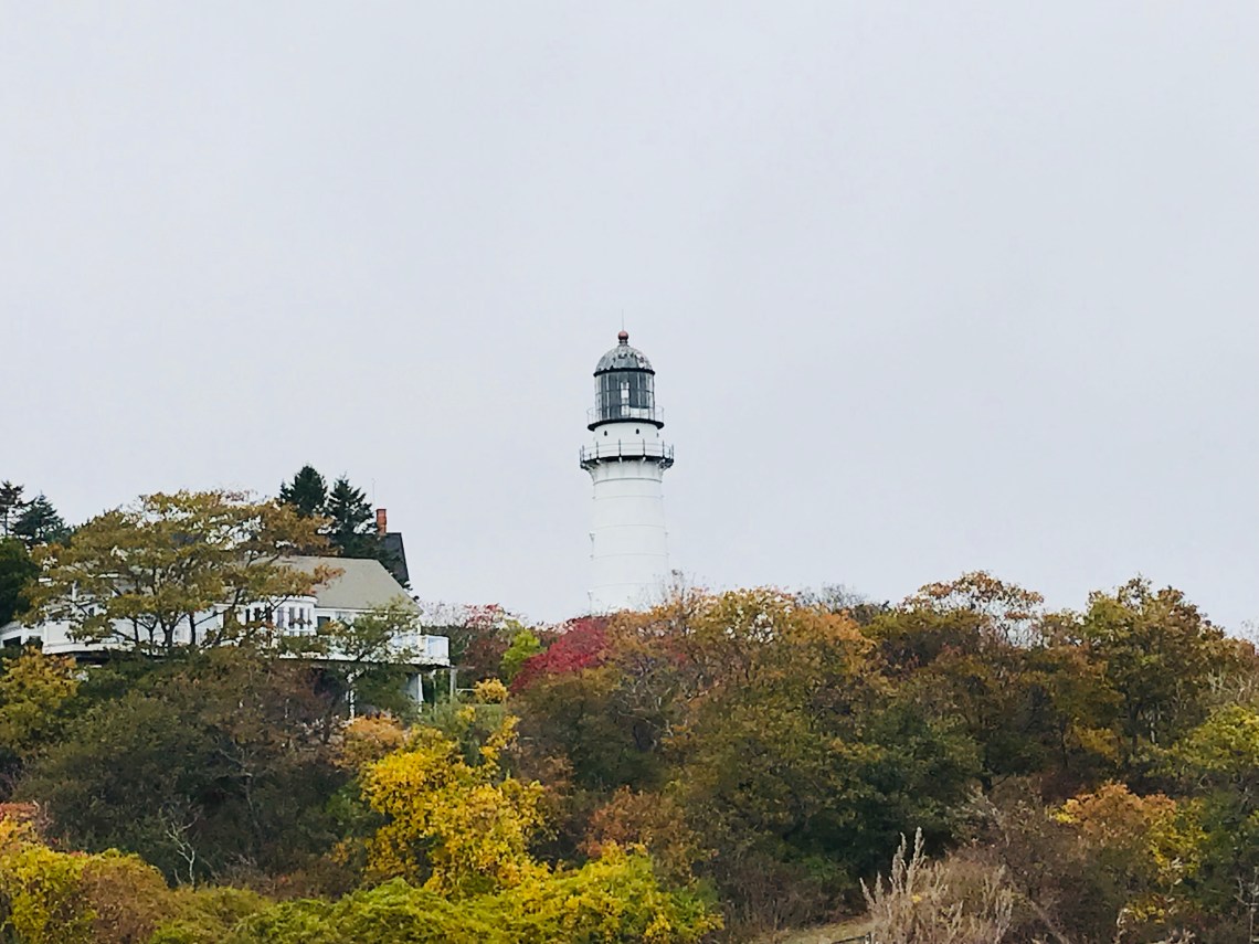 DD2DAF70-2D0A-409B-AF7E-D5B2C920A47A