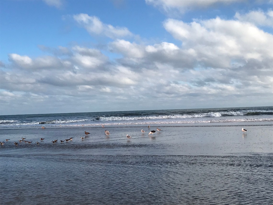 6487C369-6969-41FA-B984-7AD8346FEC25