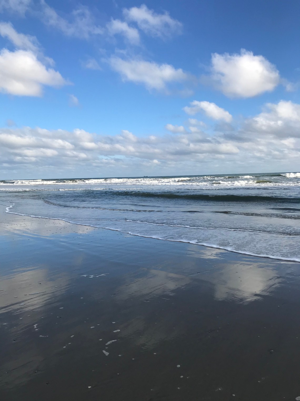 A91BCC44-4E37-4F00-B2AE-51918072A805